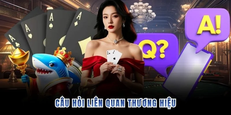 Câu hỏi liên quan thương hiệu